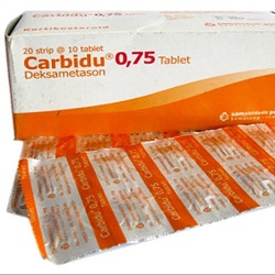 Carbidu 0 5 dexamethasone obat apa